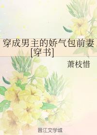 ���������Ľ�����ǰ��[����]