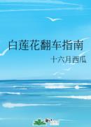 ����������ָ��