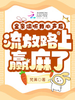 ȫ��͵��������������·��Ӯ����