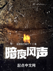 ��ҹ����