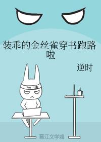 װ�ԵĽ�˿ȸ������·��