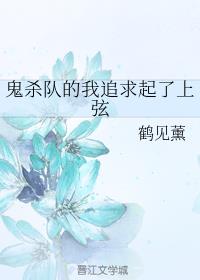 ��ɱ�ӵ���׷����������