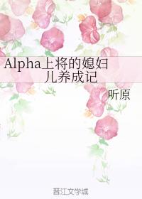 Alpha�Ͻ���ϱ�������ɼ�