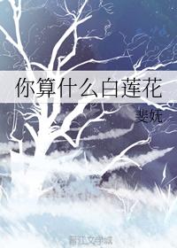 ����ʲô������