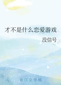 �Ų���ʲô������Ϸ