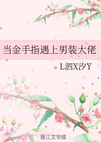 ������ָ������װ����