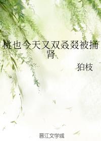 ��Ҳ������˫������ͱ��