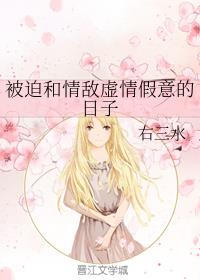 ���Ⱥ����������������